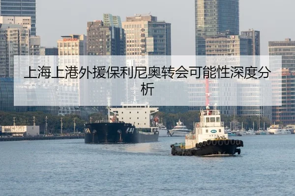 上海上港外援保利尼奥转会可能性深度分析