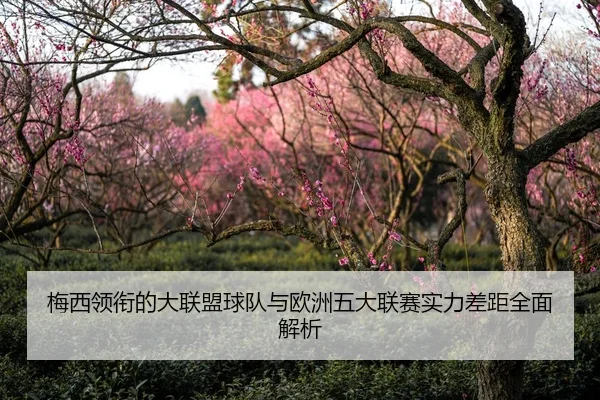 梅西领衔的大联盟球队与欧洲五大联赛实力差距全面解析